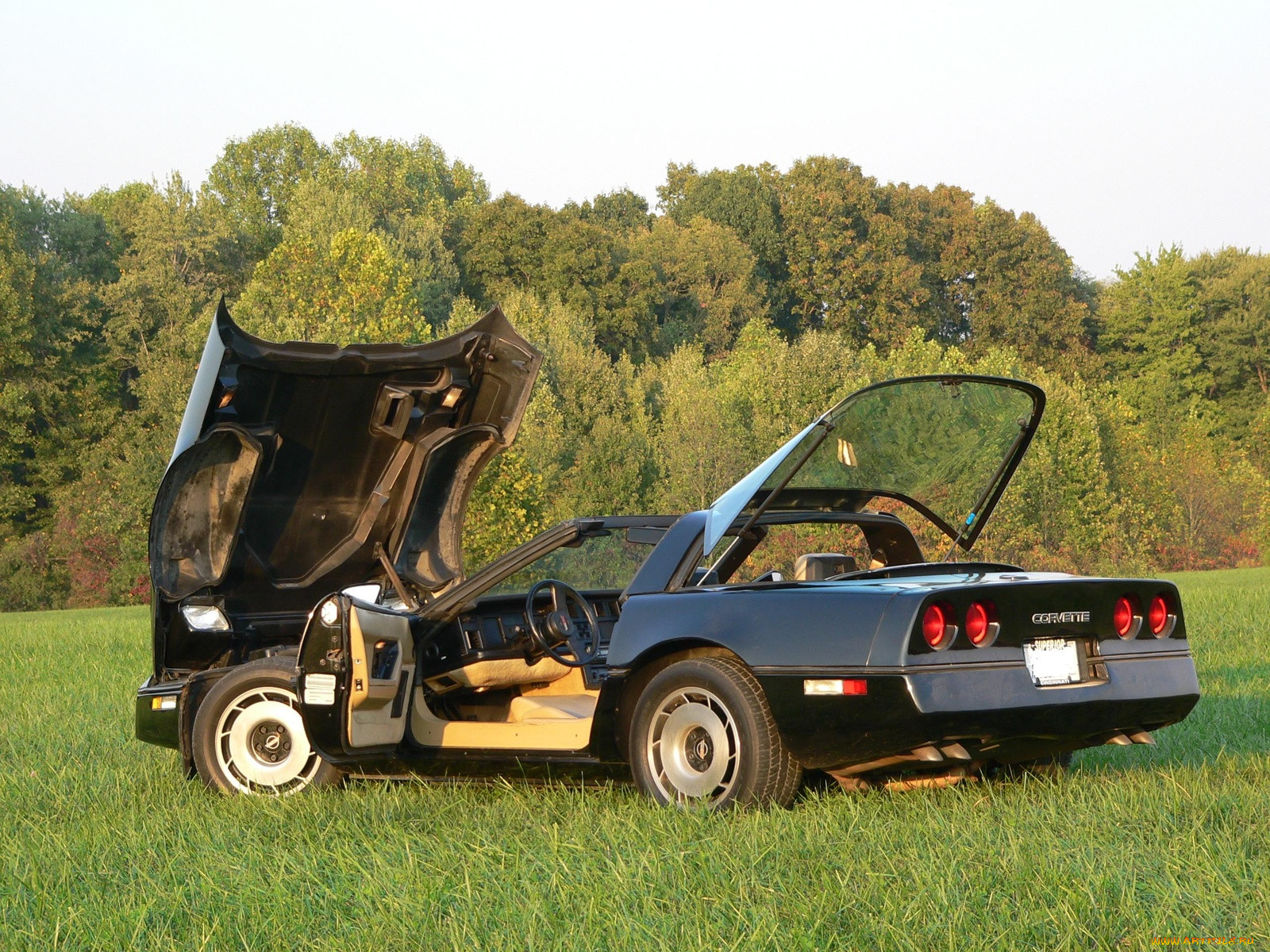 , corvette